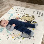 Personalized Classic Winnie The Pooh Baby Monthly Milestone Growth Tracker Soft Blanket Photo Prop Baby Shower Gift for Newborn