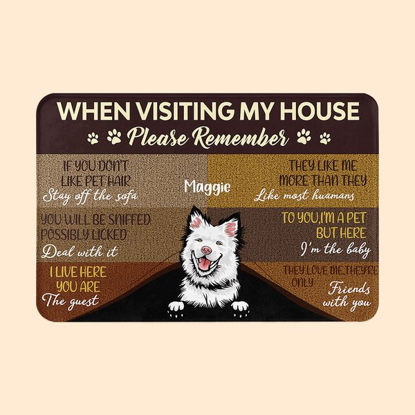 Personalisierte lustige Haustier Haus Regel Fußmatte niedliche Tier Haus Dekoration Housewarming Geburtstag Geschenk für Hund Katze Liebhaber