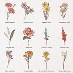 Tasse en Émail Personnalisée avec Fleur de Naissance et Nom Cadeau d'Anniversaire Fête des Mères pour Grand-mère Maman