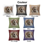 Housse d'Oreiller Personnalisée avec Photo et Nom de l'Animal de Campagnie Décoration de Canapé Cadeau Commémoratif pour Perte d'Animal