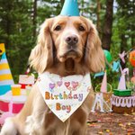 Personalised Multicolour Birthday Girl Boy Pet Bandana Love For My with Dog Name Birthday Party Gift for Pet Lover