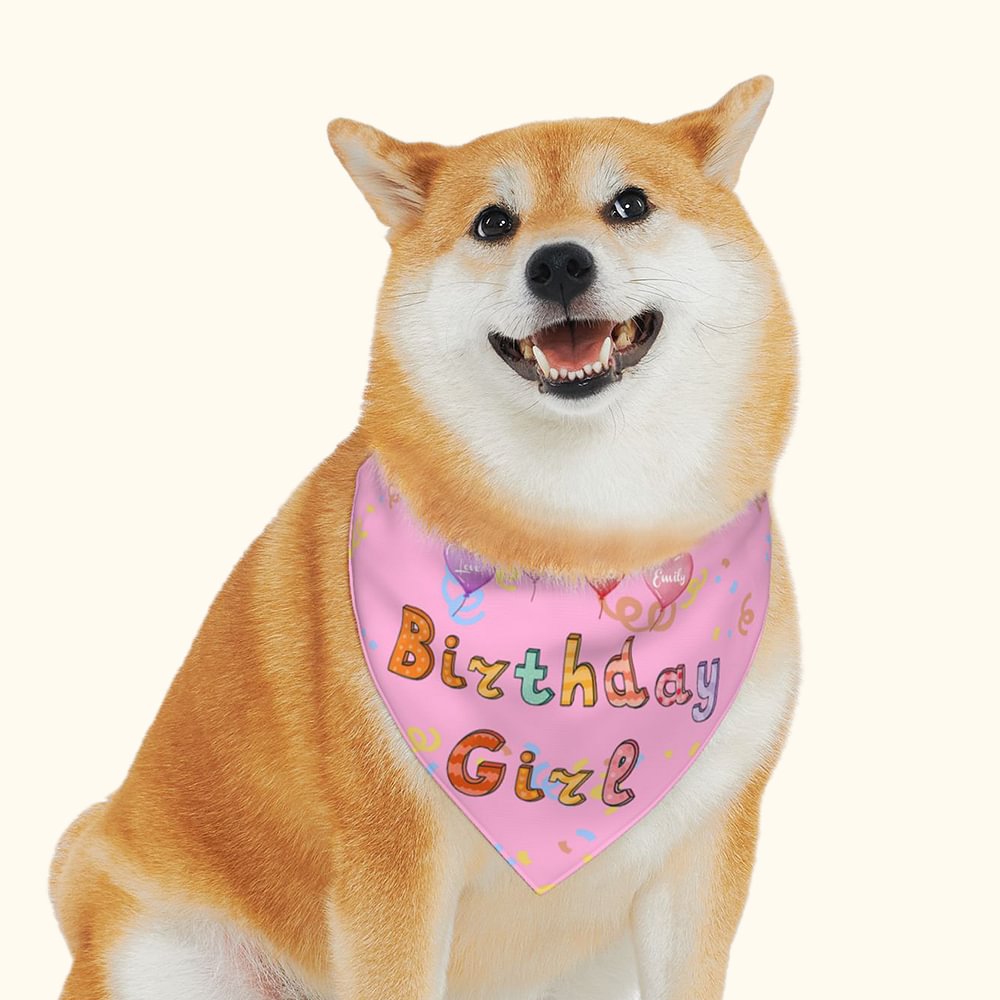 Bandana de Chien Personnalisé avec Nom Thème Birthday Boy Girl Cadeau Anniversaire pour Propriétaires des Animaux Domestiques