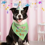 Personalised Multicolour Birthday Girl Boy Pet Bandana Love For My with Dog Name Birthday Party Gift for Pet Lover