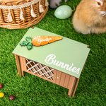 Personlig handgjord påskhare i trä med morotsmönster och namn Påskäggsjakt Present till barn