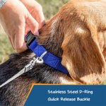 Personligt flerfärgat justerbart hundhalsband med reflekterande remsor och broderat namn och telefonnummer Present till husdjur