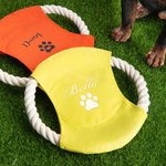 Personalizzato Cane carino con stampa a zampa Modello impermeabile per cani Disco volante per cani all'aperto con nome Regalo di compleanno per l'aman