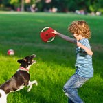 Personalizzato Cane carino con stampa a zampa Modello impermeabile per cani Disco volante per cani all'aperto con nome Regalo di compleanno per l'aman