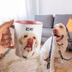 Tazza in ceramica da 1 a 3 foto personalizzate con ritratto di animale domestico e nome Regalo di compleanno per gli amanti degli animali domestici