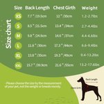 Gepersonaliseerde Multicolor Pullover Pet Hond Hoodie met Naam Verjaardag Moederdag Cadeau voor Huisdier Liefhebber Eigenaar