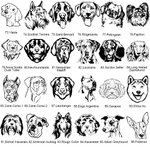 Personalisierte gravierte Hunderasse und Haustier Pfote verstellbare Armband mit Namen Geburtstag Gedenkgeschenk für Hundehalter Liebhaber