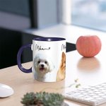 Tazza in ceramica da 1 a 3 foto personalizzate con ritratto di animale domestico e nome Regalo di compleanno per gli amanti degli animali domestici