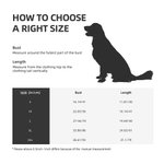 Gepersonaliseerde Multicolor Pullover Pet Hond Hoodie met Naam Verjaardag Moederdag Cadeau voor Huisdier Liefhebber Eigenaar