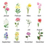 Personalisierte PU-Leder Geldbörse mit Aquarell Geburtsblume und Namen Mehrfächer Portemonnaie Münze Fach Geburtstag Weihnachten Geschenk für Damen