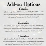 Personalized Birth Flower Passport Cover with Name and Floral Language Birthday Bridesmaid Gift for Woman Travel Lover