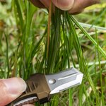 Personalized MOLLE EDC Mini Tactical Knife Portable Survival Tool Camping Gift for Man