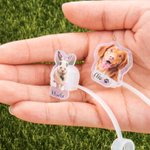 Personalized Pet Portrait Food-safe Reusable Straw Cover with 1-3 Names for Stanley Tumbler Accessory Birthday for Pet Lover