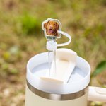 Personalized Pet Portrait Food-safe Reusable Straw Cover with 1-3 Names for Stanley Tumbler Accessory Birthday for Pet Lover