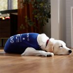 Personalised Best Friend Fist Bump Large Pet Shirts with Names Birthday Anniversary Gift for Dog Cat Lovers