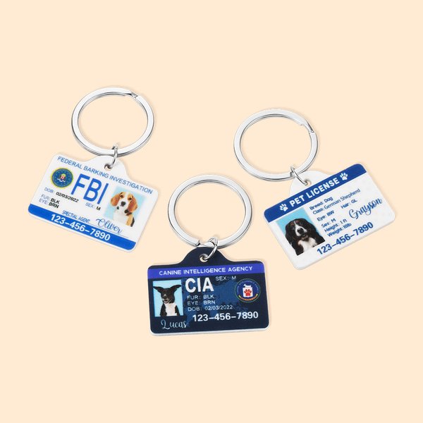 Personalisierte Acryl Haustier Foto Lizenz ID Tag mit Texten Geburtstag Geschenk für Hund Katze Tierhalter