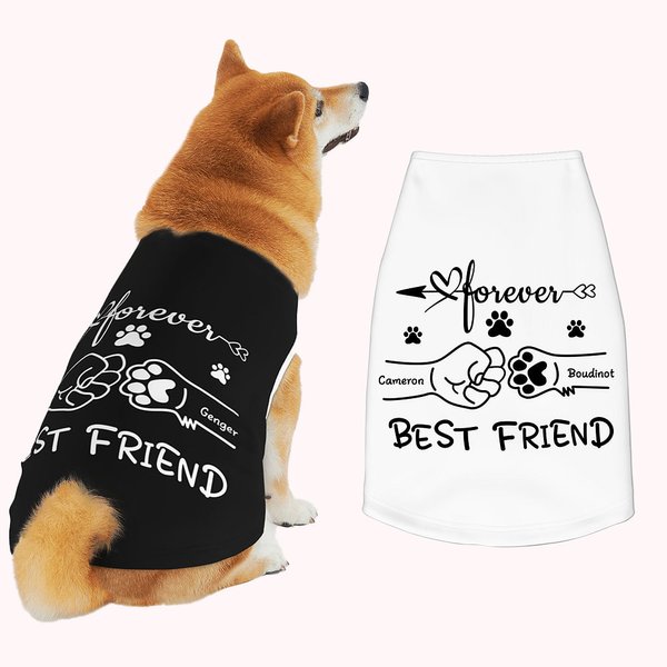 Best Friend Fist Bump Large Pet Shirts with Names