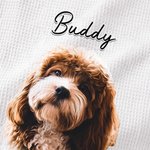 Personalisierte Ölmalerei Stil Haustier Portrait Foto 100% Baumwolle Waffel Geschirrtuch Geburtstag Jahrestag Geschenk für Tierliebhaber