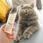 Personalized Pet Photo Acrylic Bookmark with Name Birthday Gift for Cat Dog Owner Book Lovers