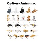 Décoration de Pont Arc-en-Ciel Personnalisée avec Nom et Empreinte de Patte avec Statuette Animal de Compagnie Cadeau Mémorial pour Perte d'Animal