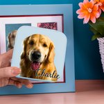 Gepersonaliseerd huisdier portret olieverfschilderij stijl lederen sieraden doos met naam verjaardagscadeau voor huisdierliefhebber