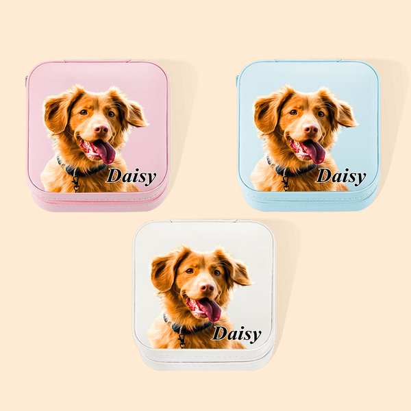 Gepersonaliseerd huisdier portret olieverfschilderij stijl lederen sieraden doos met naam verjaardagscadeau voor huisdierliefhebber