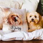 Taie d'Oreiller Personnalisée avec Nom et Photo en Aquarelle Cadeau Pendaison de Crémaillère Anniversaire pour Amoureux des Animaux de Compagnie