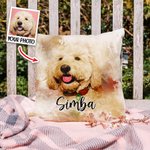 Taie d'Oreiller Personnalisée avec Nom et Photo en Aquarelle Cadeau Pendaison de Crémaillère Anniversaire pour Amoureux des Animaux de Compagnie