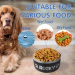 Gamelle de Chien Personnalisé avec Nom Animal Gamelle en Acier Inoxydable Antidérapant Cadeau pour Propriétaire d'Animal de Compagnie