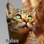 Personalisierte Aquarell Haustier Porträt Malerei 20oz Becher mit Namen Deckel und Strohhalm Geburtstag Haustier Verlust Memorial Geschenk für Katze H