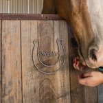 Personalized Multiple Sizes Handmade Horseshoe Sign Stable Door Decoration with Wire Name Good Luck Anniversary Gift for Horse Lover