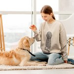 T-shirt Sweatshirt Personnalisé avec Photo et Nom Cadeau d'Anniversaire pour les Propriétaires d'Animaux de Compagnie