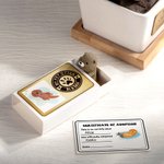 Personalizado Mi mascota Nutria En Una Caja Mini Otter Caja de cerillas con tarjeta de nombre Decoración de escritorio Novedad Apoyo emocional Regalo de cumpleaños para los amantes de la nutria