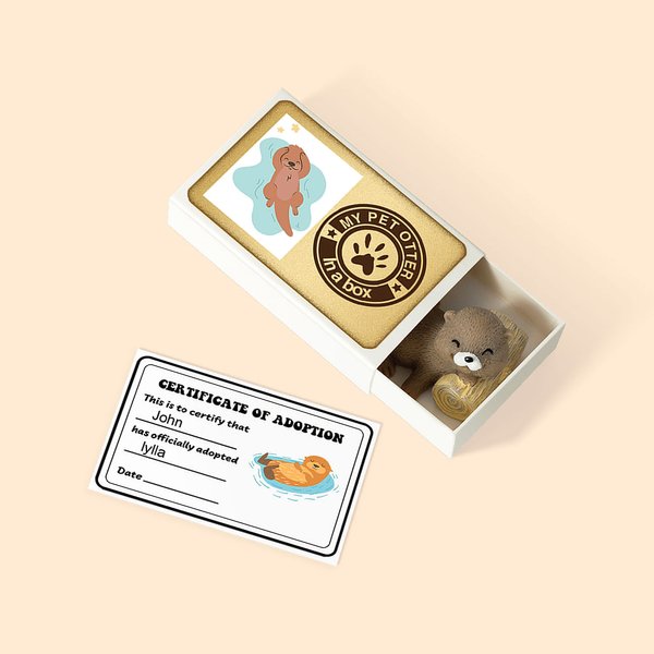 Personalizzato My Pet Otter In A Box Mini Otter Matchbox with Name Card Desk Decor Novelty Emotional Support Birthday Gift for Otter Lover