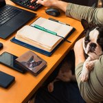 Personalisierte Haustier Porträt Ölmalerei Stil PU-Leder Herrn Geldbörse mit Namen Fächern Vatertag Geburtstag Geschenk für Haustierliebhaber