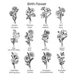 Personalized Waterproof Birth Flower Water Bottle Carrier Bag Pouch for 40oz Stanley with Adjustable Strap and Free Straw Topper Birthday Gift for Her