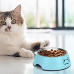 Personalised Double Detachable Pet Bowl with Dog Cat Ear Outline Name Birthday Gift for Pet Lover