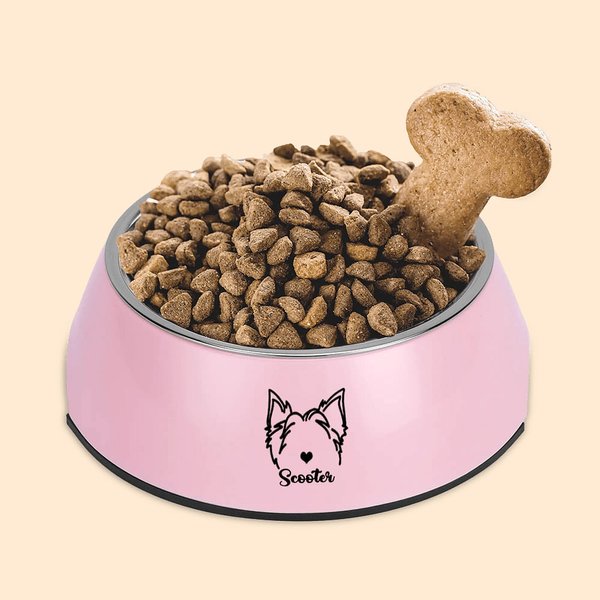 Double Detachable Pet Bowl with Dog Cat Ear Outline Name