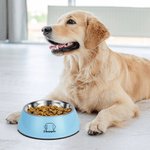 Personalised Double Detachable Pet Bowl with Dog Cat Ear Outline Name Birthday Gift for Pet Lover