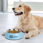 Personalized 2 in 1 Non-slip Outline Portrait Dog Food Water Bowl with Name Food-grade Stainless Steel Feeding Supplies Gift for Pet Lovers