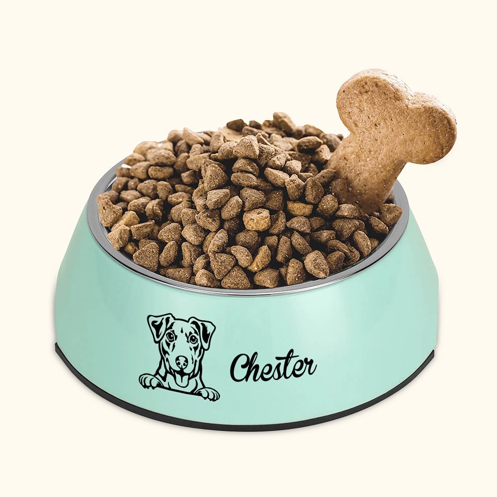 Bol de Chien Personnalisé avec Nom et Portrait de Chien Bol en Acier Inoxydable 2 en 1 Anti-dérapage Cadeau pour Amoureux des Animaux de Compagnie
