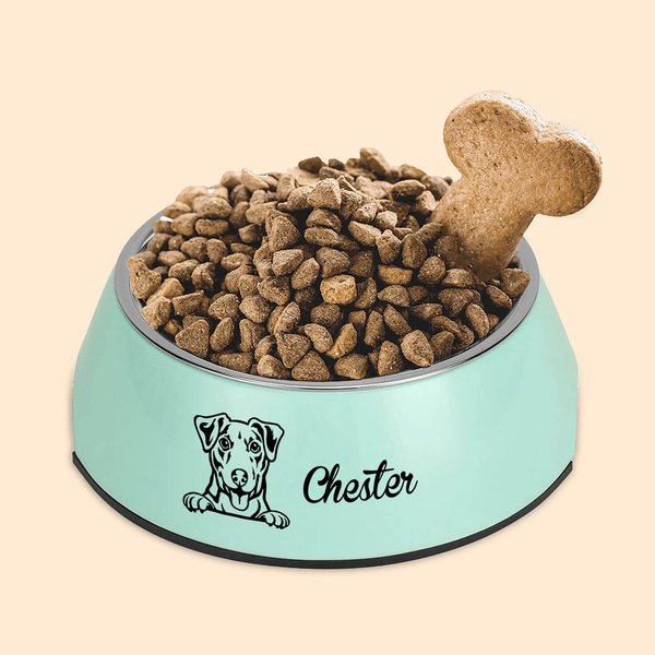 2 in 1 Non-slip Outline Portrait Dog Bowl with Name