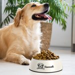 Personalized 2 in 1 Non-slip Outline Portrait Dog Food Water Bowl with Name Food-grade Stainless Steel Feeding Supplies Gift for Pet Lovers