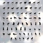 Anello commemorativo personalizzato con sagoma iniziale di animale domestico Regalo per l'amante dell'animale domestico