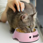 Bol de Chats Chiens Personnalisé avec Nom Motif 2 en 1 Anti-dérapage Bol en Acier Inoxydable de Qualité Alimentaire Cadeau pour Amoureux des Animaux