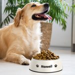 Bol de Chats Chiens Personnalisé avec Nom Motif 2 en 1 Anti-dérapage Bol en Acier Inoxydable de Qualité Alimentaire Cadeau pour Amoureux des Animaux