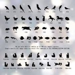 Anello commemorativo personalizzato con sagoma iniziale di animale domestico Regalo per l'amante dell'animale domestico